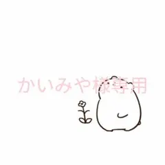 かいみや様専用
