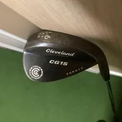 Item thumbnail for item 68247060-3f57-4dff-ad78-c295e4c52ccb