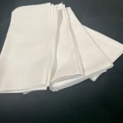 Item thumbnail for item caa2aa91-f1ae-4a6b-871d-12c1626334ae