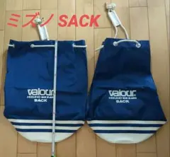 Item thumbnail for item 7a7a5511-ea8e-41d6-9c46-69a53393a07e