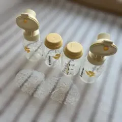 Item thumbnail for item c5c25222-8380-4404-8b55-45d9ea5e1a48