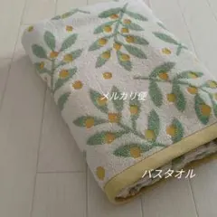 Item thumbnail for item ccaa1877-58f4-4d19-9096-75751340d2d5