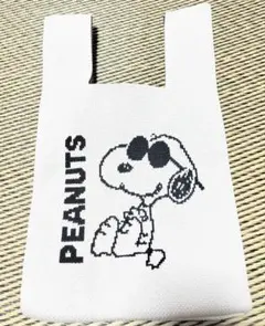 PEANUTS スヌーピー　バッグ　ニット　ミニバッグ