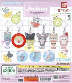 JOCHUMめじるしアクセサリー2 もこ