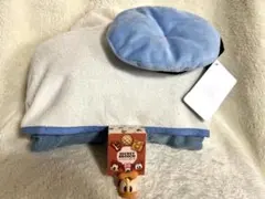 ディズニーストア　福袋　2026 ドナルド　ポンチョタオル　ブローチ 2点