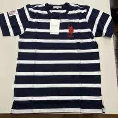 U.S. POLO ASSN. ストライプ Tシャツ Lサイズ