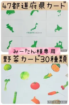 みーたん様専用