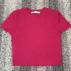 ZARA レディース クロップドトップス M ピンク ニット 短丈