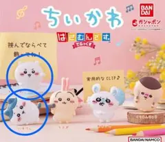 ちぃかわ　はさむんです。でらっくす