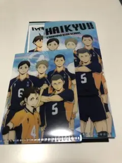 ハイキュー！！　烏野高校　2年　ミニファイル