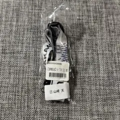 Item thumbnail for item 3636d1fa-fc69-4599-bc4c-734b28855894