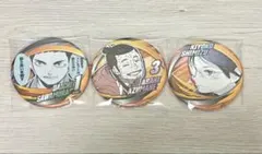 ハイキュー ファンパーク コレクション缶バッジ 烏野