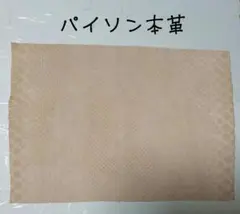 Item thumbnail for item c5577197-edca-4f73-a880-85c6411c2b14