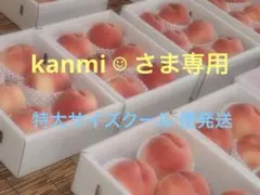 山梨一宮の甘い桃　特大サイズを6個詰めて発送 人気商品　ももやのきよし