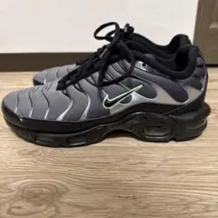 Nike Air Max Plus グレー　　27.5cm