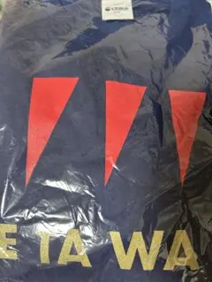 三枝明那 ライバー Tシャツ フリーサイズ