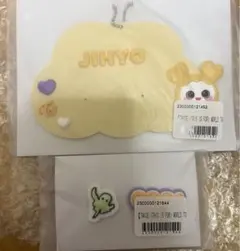 【未使用】ジヒョちゃん　THIS IS FOR オンラインくじラバーピンズセット