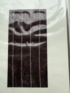 Item thumbnail for item 380647eb-7eae-4eae-983b-5599ac5fd68f