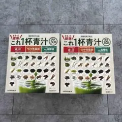 Item thumbnail for item 733db5d1-d869-4ee8-b869-c94c735904bf