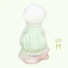 Item thumbnail for item 5d492b15-1e47-41d8-be29-a879794464ac