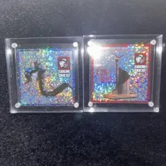 ポケモン 工芸展 札幌 北海道 ステッカー ホウオウ フシギバナ
