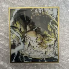 鬼滅の刃 WEBSHOPくじ アクリル色紙 我妻善逸