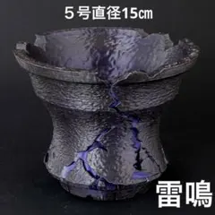 3Dプリント 育成スタンド 高さ調節アガベ・塊根植物用 - メルカリ