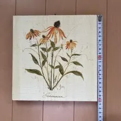 エキナセア ボタニカルアート 木製パネル