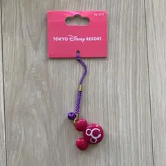 東京ディズニーリゾート ミッキーキーホルダー