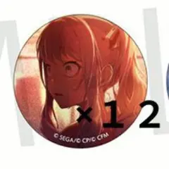 N*i様 プロセカ　暁山瑞希　グリ缶vol.47c　１２点セット