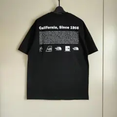 THE NORTH FACE オルター限定グラフィックTシャツ ヒッピーブラック 