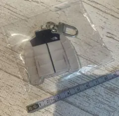 THE NORTH FACE 非売品　キーホルダー　カラビナ　非売品