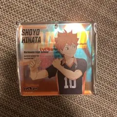 ハイキュー 日向翔陽　ブロッキー ジャンプフェスタ2025