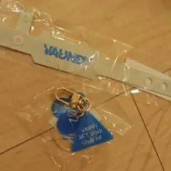 Vaundy ART Work Studio live アクリルキーホルダー東京 Vaundy ART Work Studio live アクリルキーホルダー東京 - メルカリ