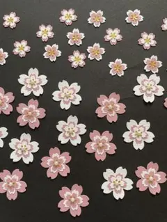 Item thumbnail for item d4aa5acb-b2ca-4815-8d81-1e82aa0db346