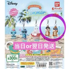 ディズニーキャラクター　めじるしアクセサリーsummer　チップ&デール