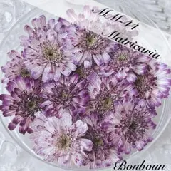 Item thumbnail for item b433a5c7-8835-47d6-99d2-2b3ecf3a4a14