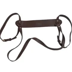 Item thumbnail for item 5109f563-34c6-426a-9f58-b6c5a41a8375