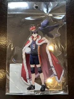 ハイキュー TOUCH THE DREAM ハイドリアクリルスタンド　影山