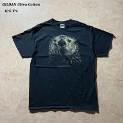 GILDAN半袖TシャツH/SフェードブラックCBOYコンパクトunisex美品