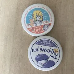 【値下げ】ハウルの動く城　缶バッジ2個セット
