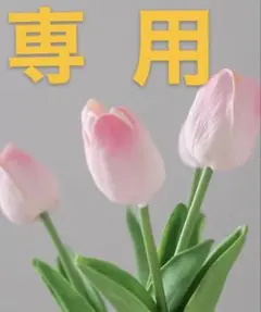 専用 ページ用