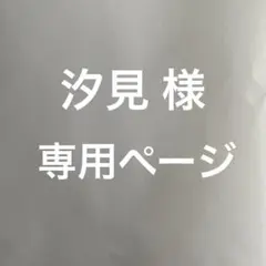汐見 様 専用ページ