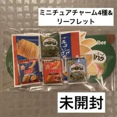 【非売品】カルビー Snow Man ミニチュアチャーム リーフレット