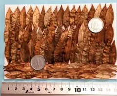 Item thumbnail for item 1ef02d3c-df54-4cc1-a95f-f135657cd7ba