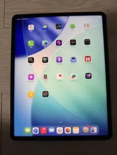 超美品　iPad Pro 12.9 インチ　第5世代　512GB