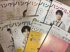 【ほんみりん様専用】高橋文哉 ハングルナビ