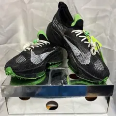 ナイキ　オフホワイト エアズームテンポネクスト%