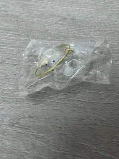 うちの子のけだまだま　まるたれみみ　トイプードル　ガチャガチャ