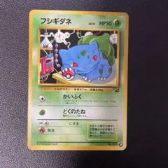 2025年最新】イントロ フシギダネの人気アイテム - メルカリ